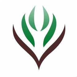 لجنة التنمية الإجتماعية تقدم دورة تدريبية مجانية عن بُعد بمجال الإسعافات الأولية