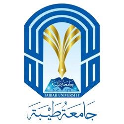 الامن السيبراني جامعة طيبة