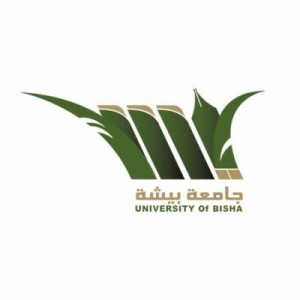 جامعة بيشة