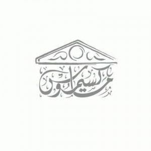 شركة ماكسميوس الخليج